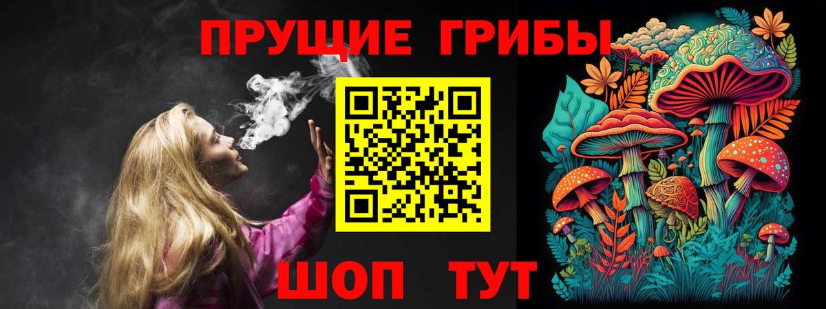 Псилоцибиновые грибы Psilocybe Вичуга